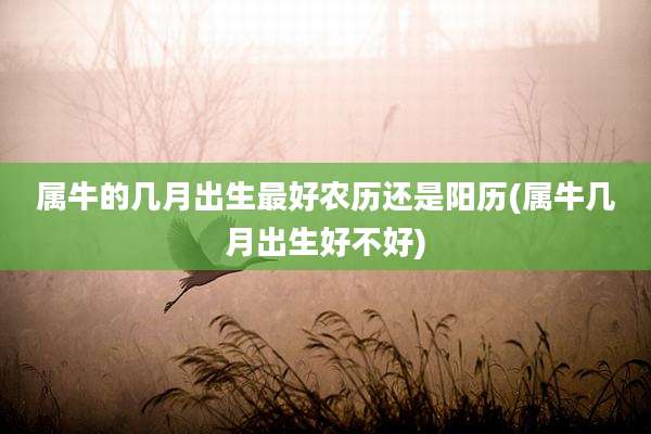 属牛的几月出生最好农历还是阳历(属牛几月出生好不好)