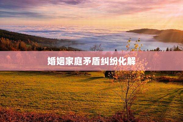 婚姻家庭矛盾纠纷化解