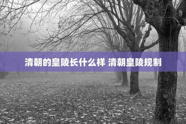清朝的皇陵长什么样 清朝皇陵规制