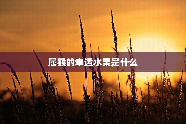属猴的幸运水果是什么
