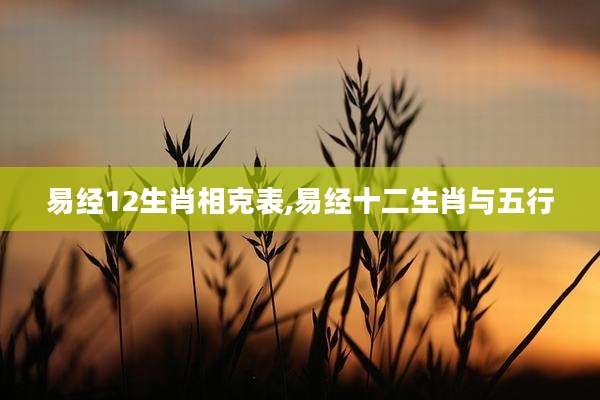 易经12生肖相克表,易经十二生肖与五行