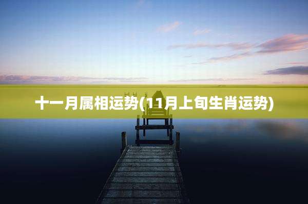 十一月属相运势(11月上旬生肖运势)