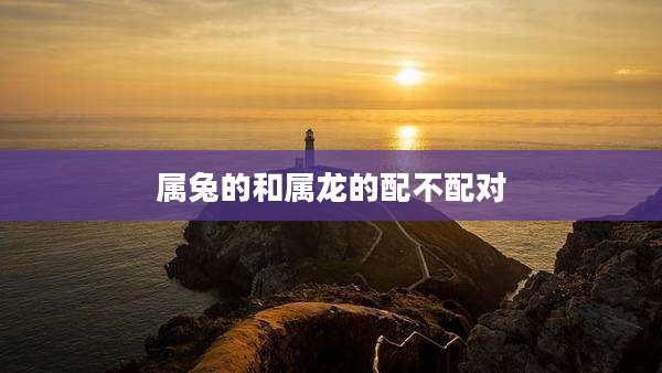 属兔的和属龙的配不配对
