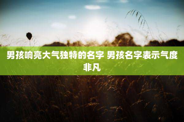男孩响亮大气独特的名字 男孩名字表示气度非凡