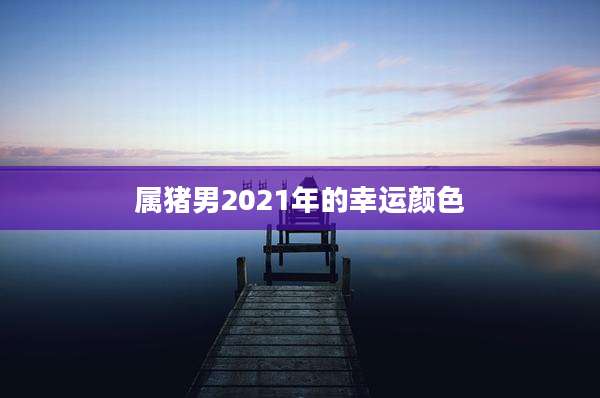 属猪男2021年的幸运颜色