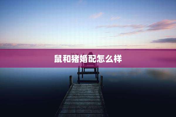 鼠和猪婚配怎么样