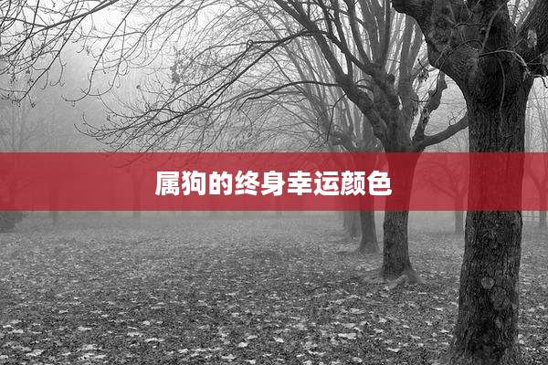 属狗的终身幸运颜色