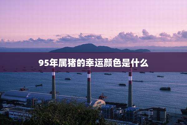 95年属猪的幸运颜色是什么