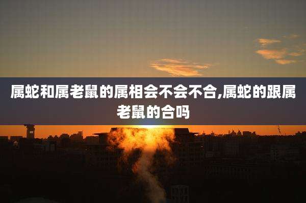 属蛇和属老鼠的属相会不会不合,属蛇的跟属老鼠的合吗