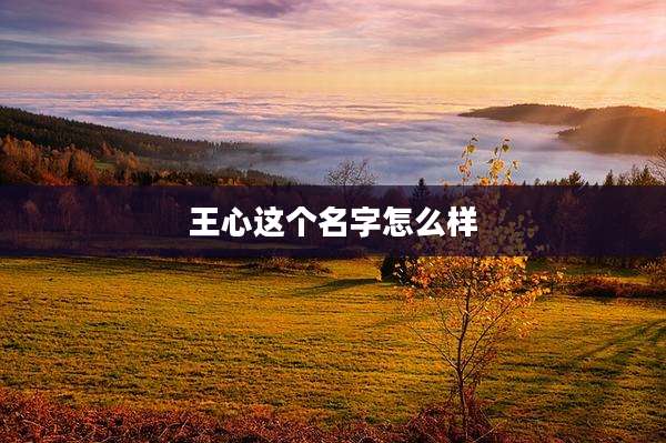 王心这个名字怎么样