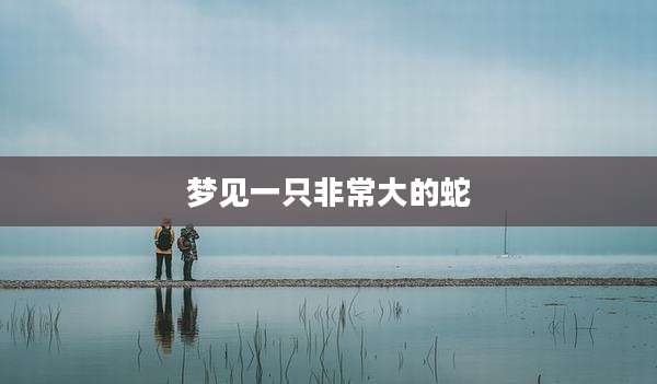 梦见一只非常大的蛇