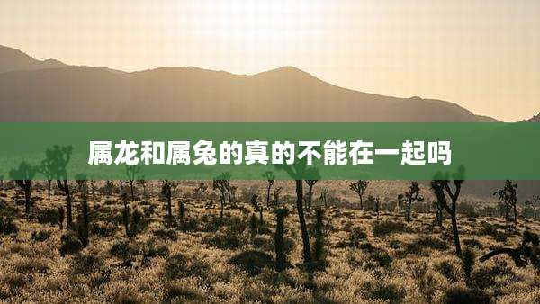 属龙和属兔的真的不能在一起吗