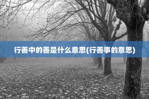 行善中的善是什么意思(行善事的意思)