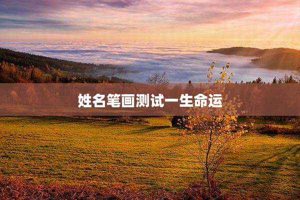 姓名笔画测试一生命运
