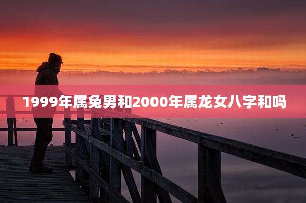 1999年属兔男和2000年属龙女八字和吗