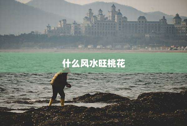 什么风水旺桃花