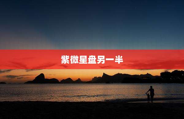 紫微星盘另一半