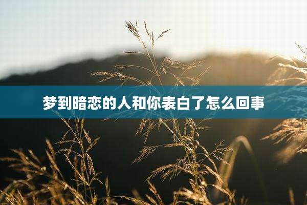 梦到暗恋的人和你表白了怎么回事