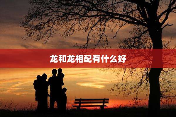 龙和龙相配有什么好