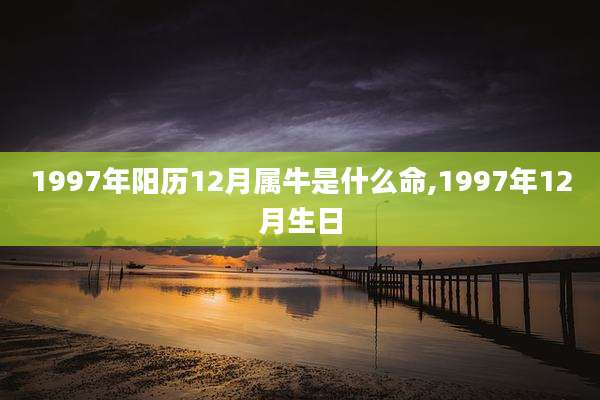 1997年阳历12月属牛是什么命,1997年12月生日