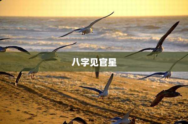 八字见官星