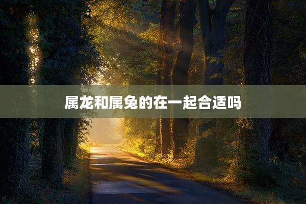 属龙和属兔的在一起合适吗