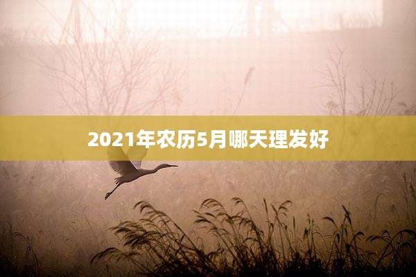 2021年农历5月哪天理发好