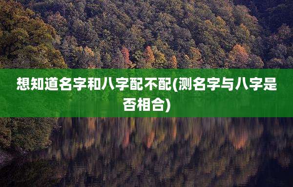 想知道名字和八字配不配(测名字与八字是否相合)
