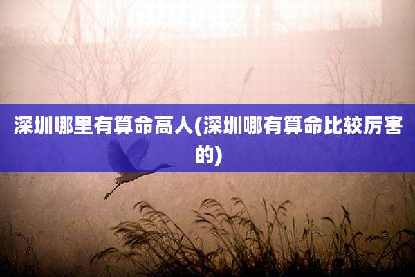 深圳哪里有算命高人(深圳哪有算命比较厉害的)