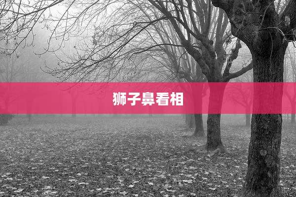 狮子鼻看相
