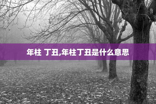 年柱 丁丑,年柱丁丑是什么意思