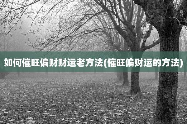 如何催旺偏财财运老方法(催旺偏财运的方法)
