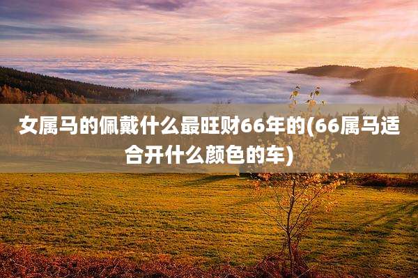 女属马的佩戴什么最旺财66年的(66属马适合开什么颜色的车)