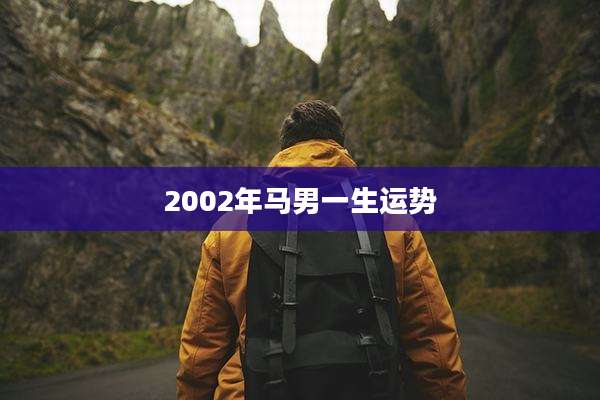 2002年马男一生运势