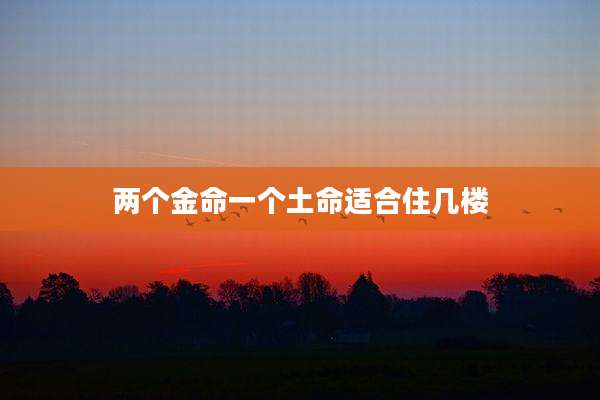 两个金命一个土命适合住几楼
