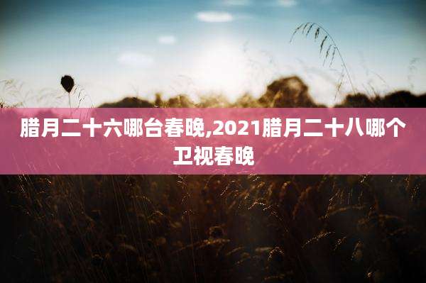 腊月二十六哪台春晚,2021腊月二十八哪个卫视春晚