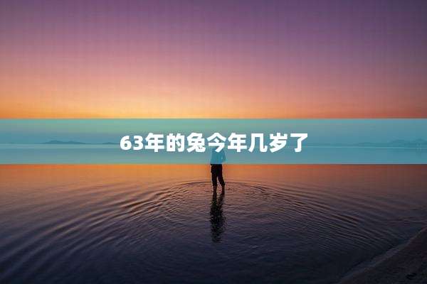 63年的兔今年几岁了