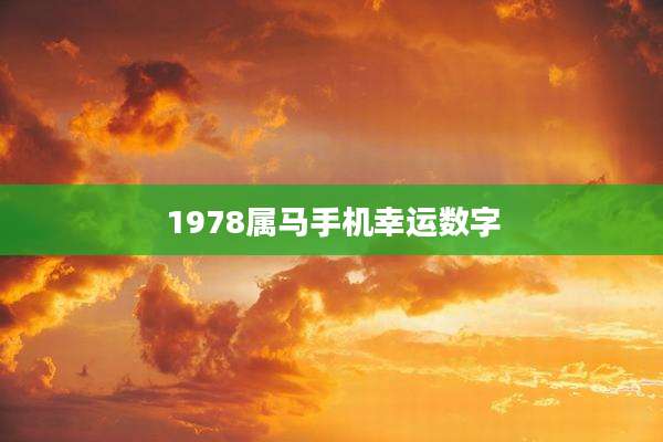 1978属马手机幸运数字