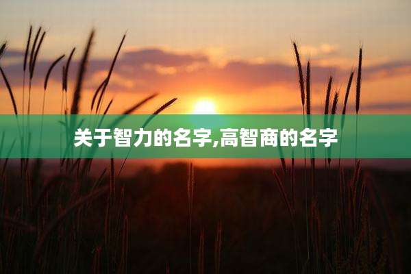 关于智力的名字,高智商的名字