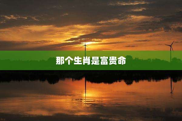 那个生肖是富贵命