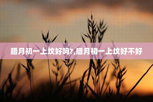 腊月初一上坟好吗?,腊月初一上坟好不好