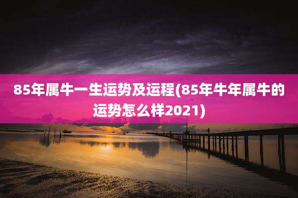 85年属牛一生运势及运程(85年牛年属牛的运势怎么样2021)