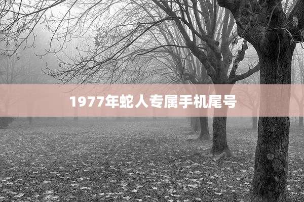 1977年蛇人专属手机尾号