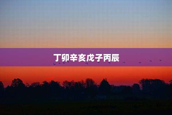 丁卯辛亥戊子丙辰