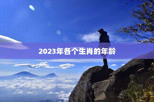 2023年各个生肖的年龄