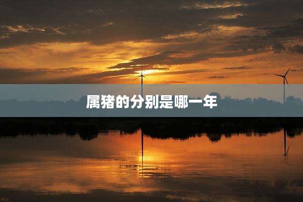 属猪的分别是哪一年