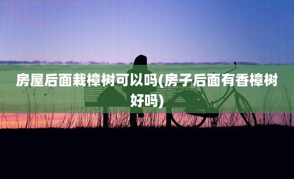 房屋后面栽樟树可以吗(房子后面有香樟树好吗)