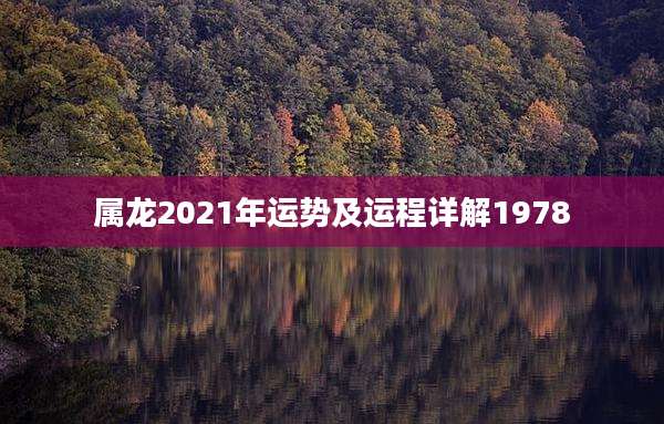 属龙2021年运势及运程详解1978