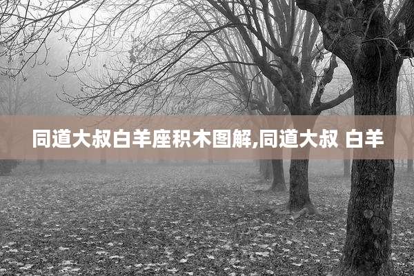 同道大叔白羊座积木图解,同道大叔 白羊