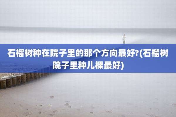 石榴树种在院子里的那个方向最好?(石榴树院子里种儿棵最好)